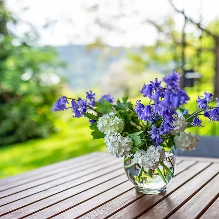 Apartment Mueller Bad Herrenalb