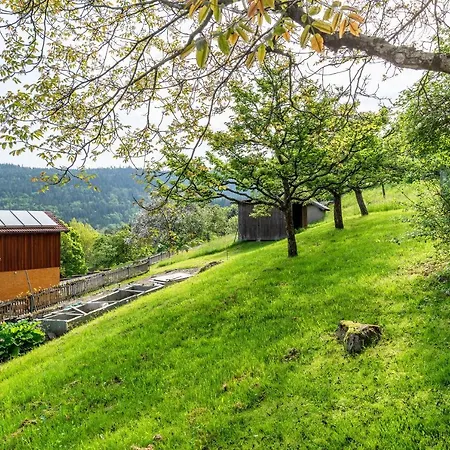 Mueller Bad Herrenalb