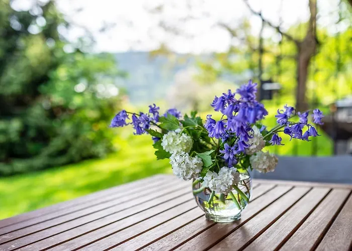 Lägenhet Mueller Bad Herrenalb