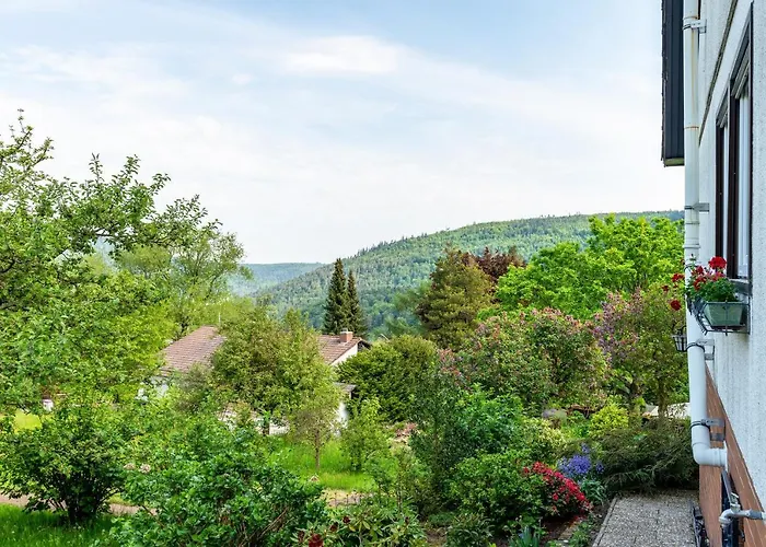 Mueller Bad Herrenalb